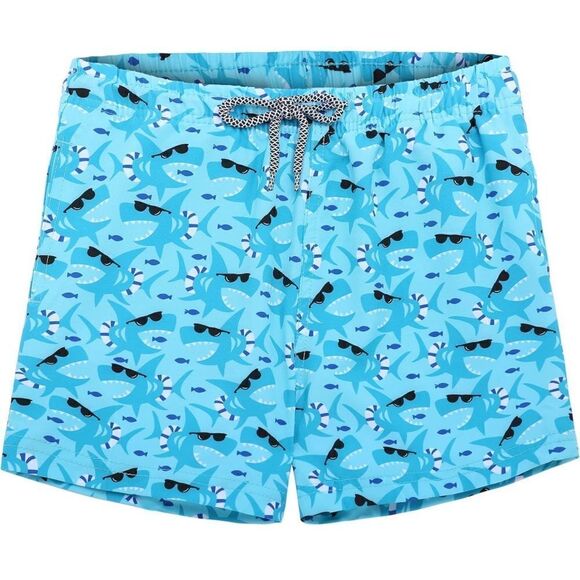 Boy’s Swim Shorts - Picture 1 of 6